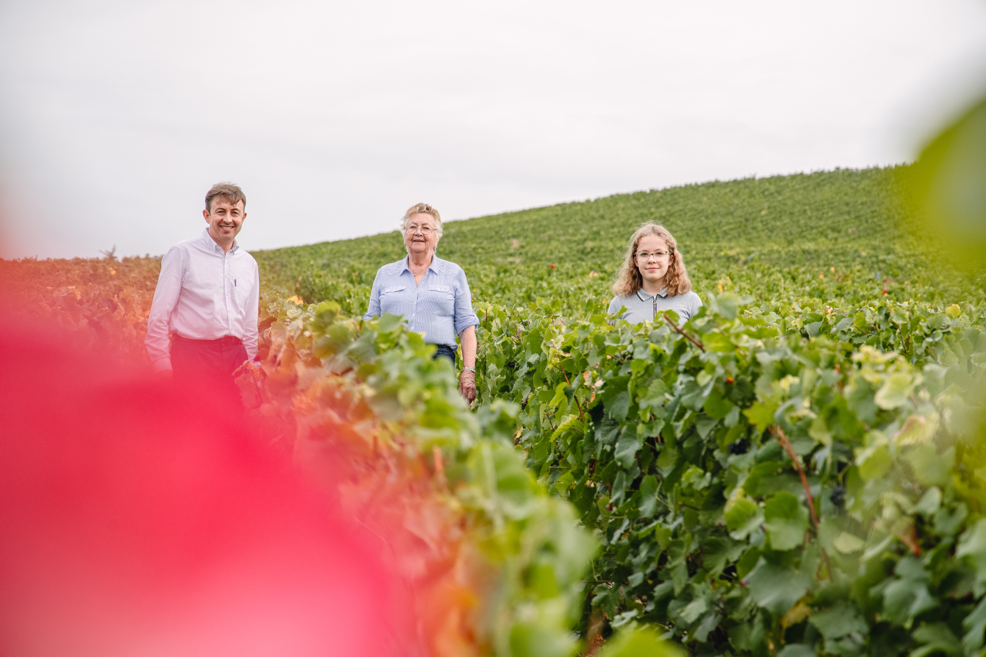 Trois membres de la famille Lheureux dans des vignes